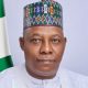 Senator Dafinone Celebrates Vice President Shettima At 59