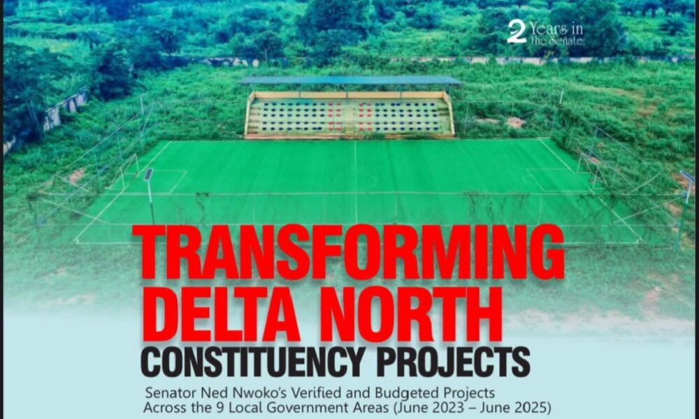 Delivering Impactful Representation: My Work For Delta North And Beyond - Senator Ned Nwoko