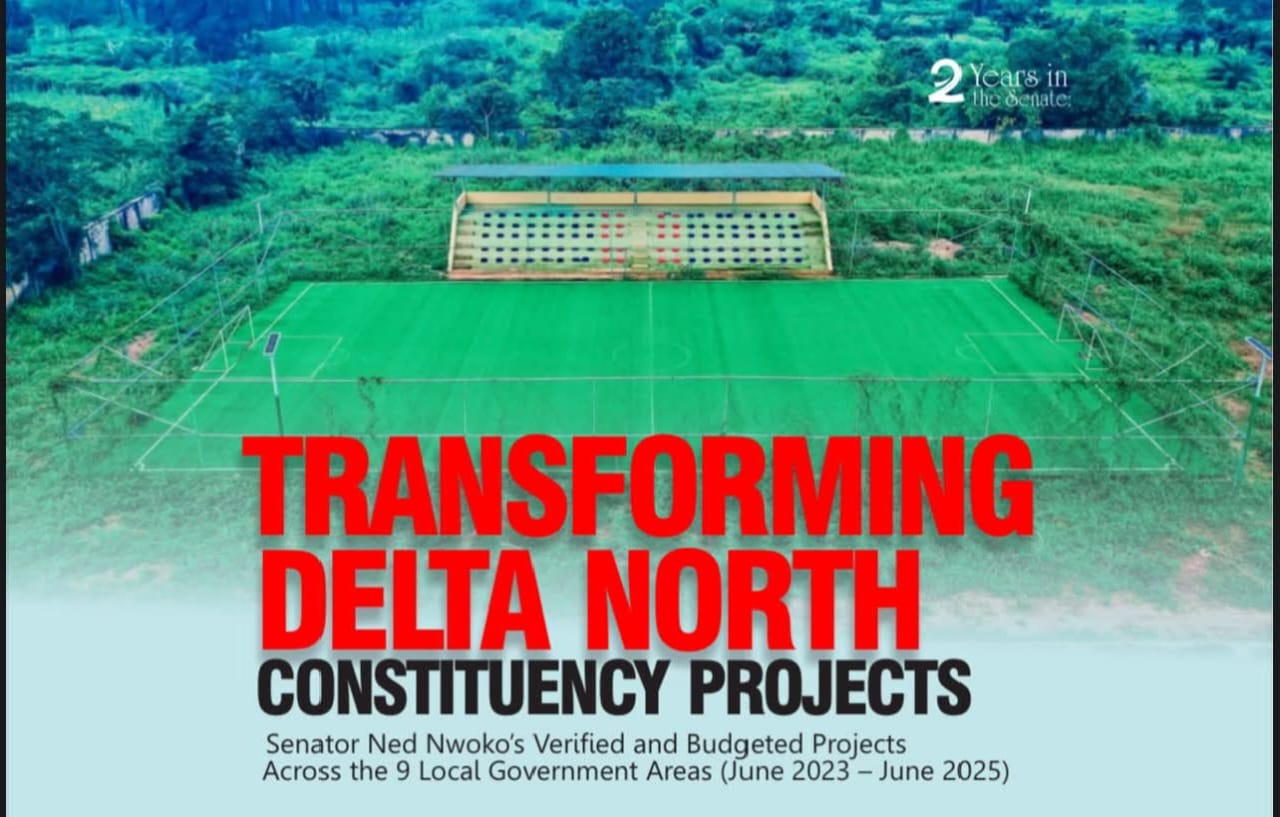 Delivering Impactful Representation: My Work For Delta North And Beyond - Senator Ned Nwoko