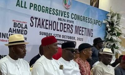 2027: Sen. Ned Nwoko Says Delta North Is For Oborevwori