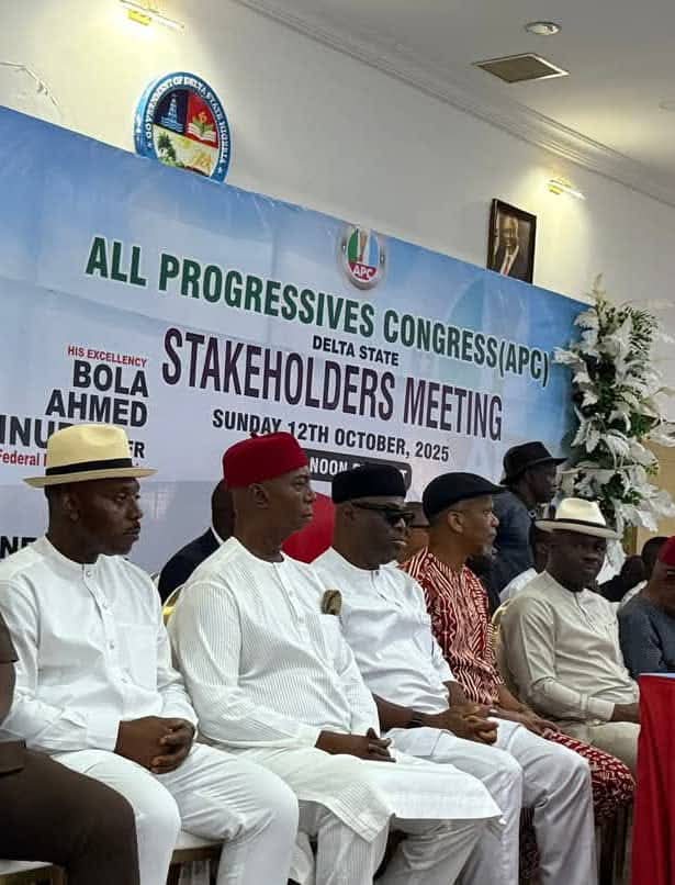 2027: Sen. Ned Nwoko Says Delta North Is For Oborevwori