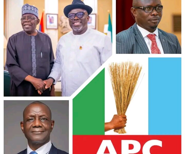  No Plans To Hijack Delta APC, Oborevwori Incharge -Oghenesivbe