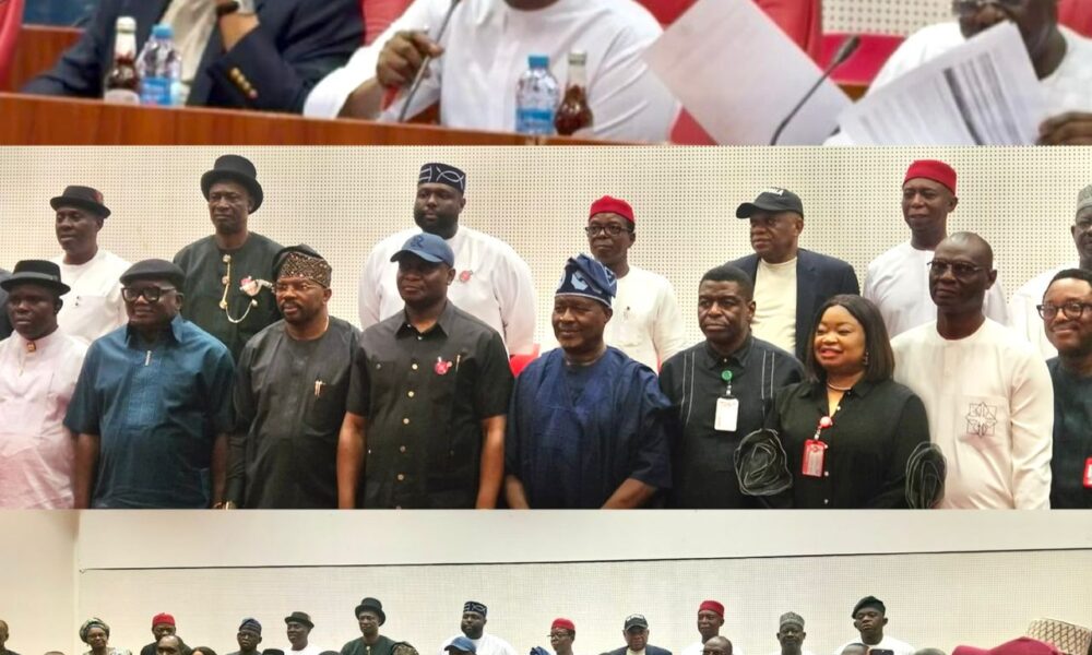 NDDC 2025 Budget Defence: Ned Nwoko Honours Late Nwaoboshi, Raises Pending Delta Coastal Road