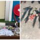 Delta Police Command Intercepts Armed Group In Major Operations, Arrests 12, Recovers 3 Pump-Action Guns, Others