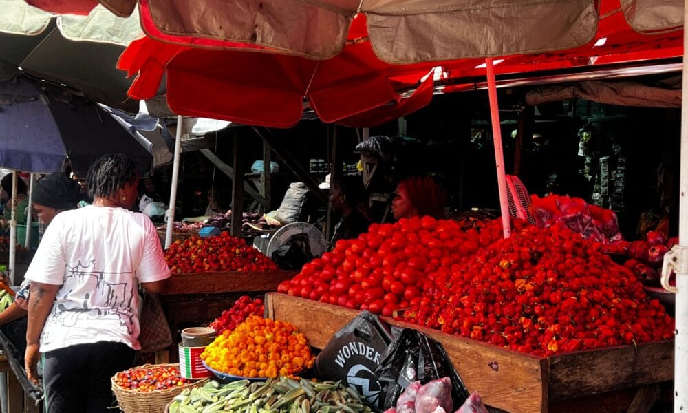 Students Lament Soaring Cost Of Living In Abraka, Skip Meals As Survival Strategy