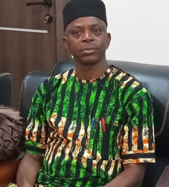 UNIDEL: Governing Council Ratifies Appointment Of Prof. Patrick Ijeh As Deputy Vice-Chancellor