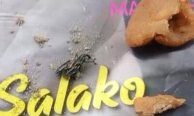 Girl, 8, Escapes Eating Fried Grounded Bean Cake With Life Wasp