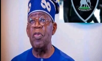 Are Nigerian States Ready For State Police? Between Necessity And Dangerous Prematurity