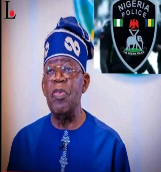 Are Nigerian States Ready For State Police? Between Necessity And Dangerous Prematurity