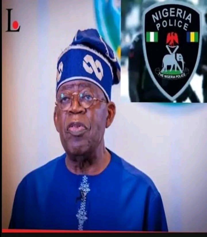 Are Nigerian States Ready For State Police? Between Necessity And Dangerous Prematurity