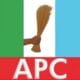 APC Dismisses Report On 2027 Nomination Form Prices