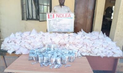 NDLEA Recovers Large Consignments Of Illicit Drugs In Lagos, Kano, Kaduna, Edo, Other Three States