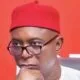 Delta North 2027: APC Chieftain Backs Ned Nwoko, Warns Against ‘Self-Serving’ Rival Ambitions
