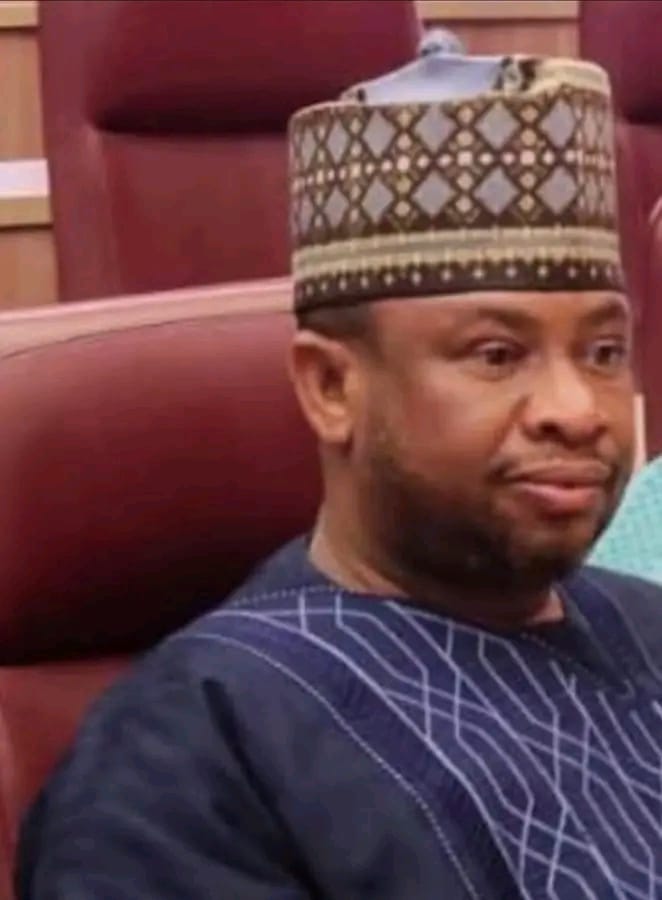 Kemi Olunloyo Reacts To Ambassadorial Appointments, Mourns Mohammed Lele