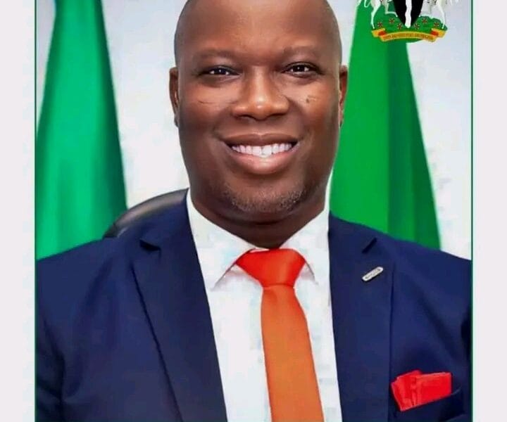 Council Boss Suspends Planned Installation Of “Sarki” In Udu, Orders Security Profiling