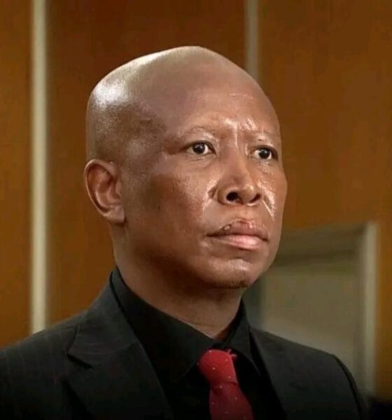 Julius Malema Sentenced To 5 Years In Prison Over Alleged Gun Firing At Rally
