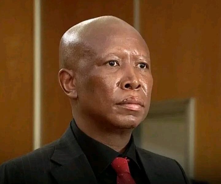 Julius Malema Sentenced To 5 Years In Prison Over Alleged Gun Firing At Rally