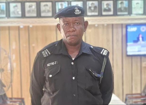 Delta Police Commissioner Orders Summary Trial Of Two Officers Captured In Viral Video