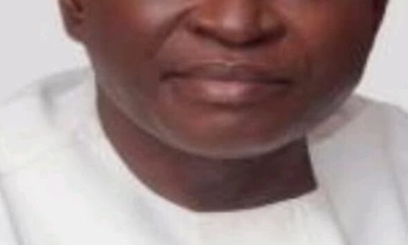 Soludo Appoints Prof. Peter Onwualu Pro-Chancellor Of COOU, Names New Governing Council Members