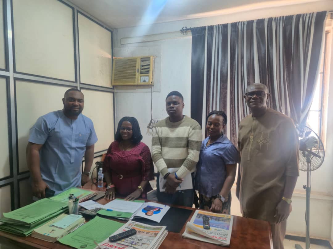 LGSC Aware Of Inadequate Staff In PHCs, Committed To Addressing Challenges----Director Of Nursing Services, Enafoma