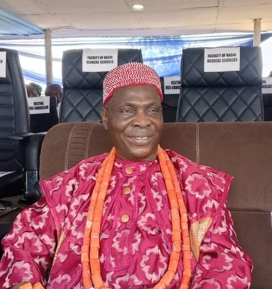 “I Will Do More For Humanity”, HRM Abaja Vows As DELSU Honours Him