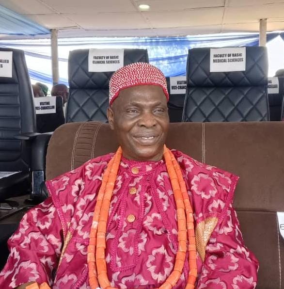 “I Will Do More For Humanity”, HRM Abaja Vows As DELSU Honours Him