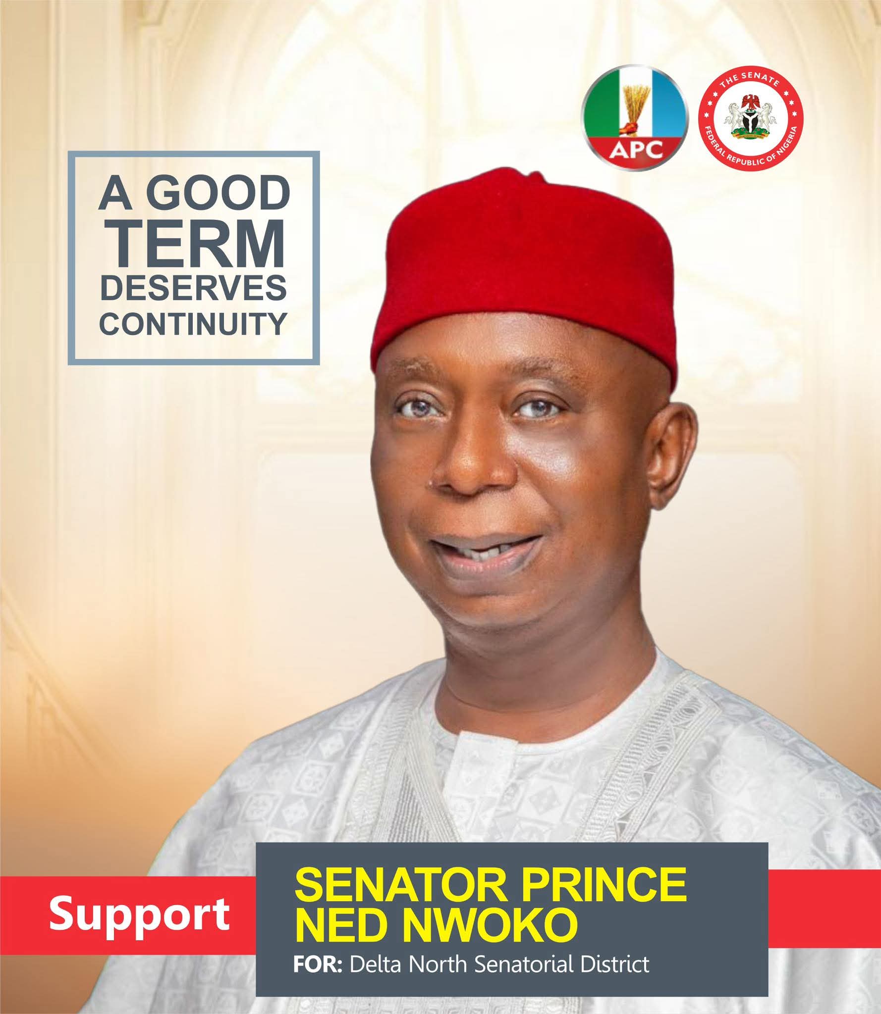 Delta North: Ned Nwoko Showcases Projects, Promises Continued Growth