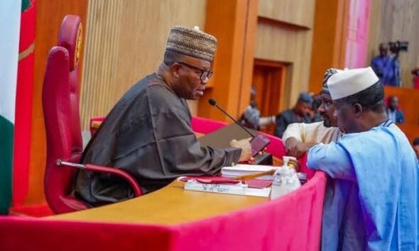 Senate Passes State Police Bill, Introduces Safeguards Against Governors’ Abuse