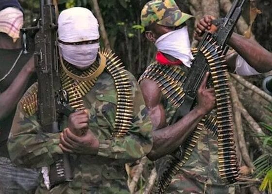 Hold Governors And Council Chairmen Accountable For Local Insecurity
