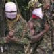 Hold Governors And Council Chairmen Accountable For Local Insecurity