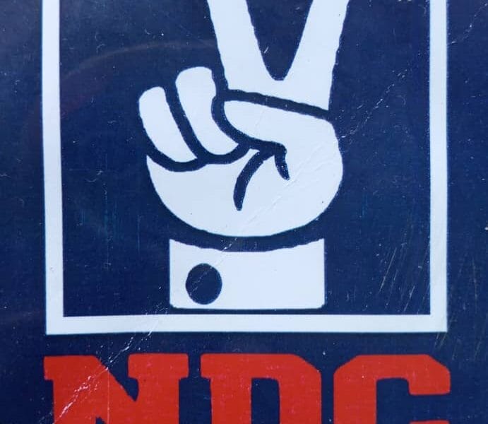 NDC Primaries: Ogodo Opposes Senate, Reps Tickets Going to Same Ward, Alleges Attempt To Destabilise Party