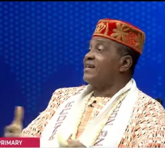 Delta North APC Primary: Videos Cast Doubt On Declared Results, Says Nwoko