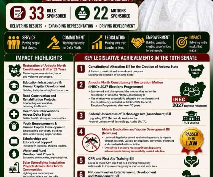 Ned Nwoko Marks Three Years In Senate, Highlights 33 Bills, Constituency Projects