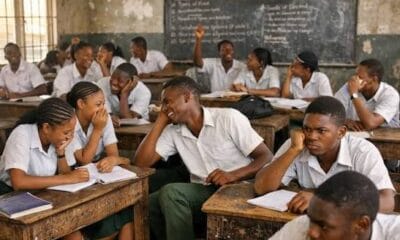 The Lie We Were Sold: Schooling Has No Age Limit