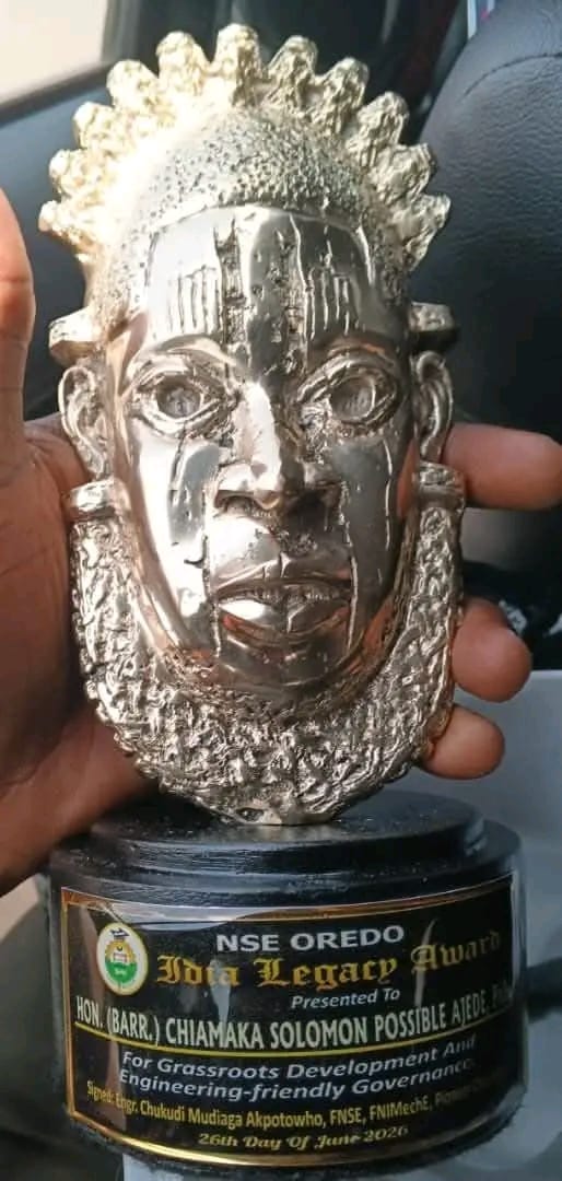 Grassroots Development: Nigerian Society of Engineers Honours Ajede