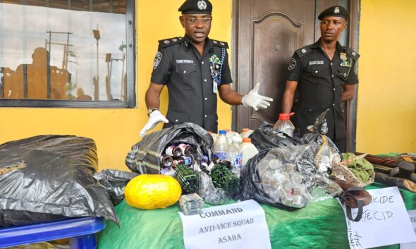 Delta Police Smash Criminal Networks, Arrest 85 Suspects, Recover 32 Firearms