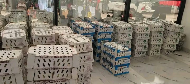 Possible Ajede Unveils 'Ifeoma Zu Osa' Empowerment Programme, Distributes Poultry Starter Packs To Beneficiaries
