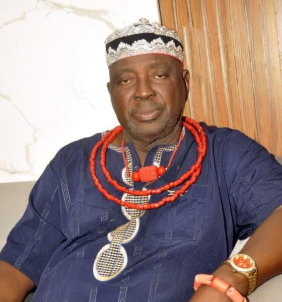 Osawota Advises Tinubu To Constitute Taskforce On Reduction Of Petro Price