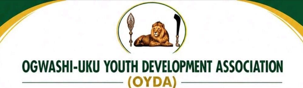 Ogwashi-Uku: Youth Stakeholders Blast Dissident Group, Warn Against Division, Security Tensions
