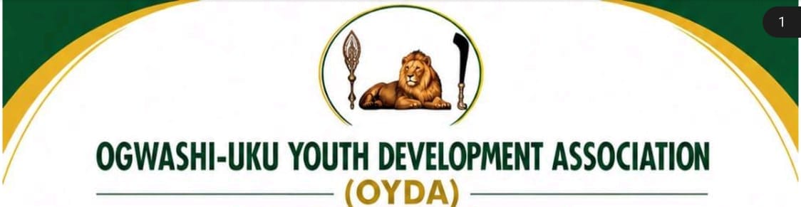 Ogwashi-Uku: Youth Stakeholders Blast Dissident Group, Warn Against Division, Security Tensions