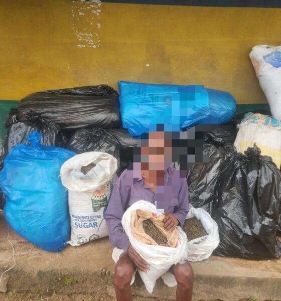 Owa-Abbi Drug Bust: Delta Police Arrest 56-Year-Old, Recover 21 Bags Of Indian Hemp