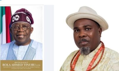 President Tinubu Has Put Nigeria On The Path Of Renewal — Adjogbe