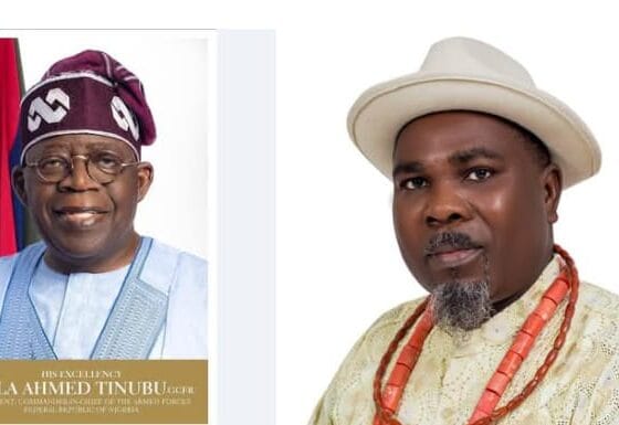 President Tinubu Has Put Nigeria On The Path Of Renewal — Adjogbe