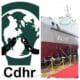 CDHR Delta Faults State Government’s Purchase Of Vessels, Says It’s Misplaced Priority