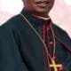 Soludo Celebrates Awka Catholic Bishop Ezeokafor At 74