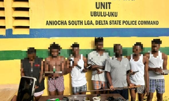 Police Arrest Nine Suspected Cultists In Obiaruku, Recover Two Guns, Cartridge