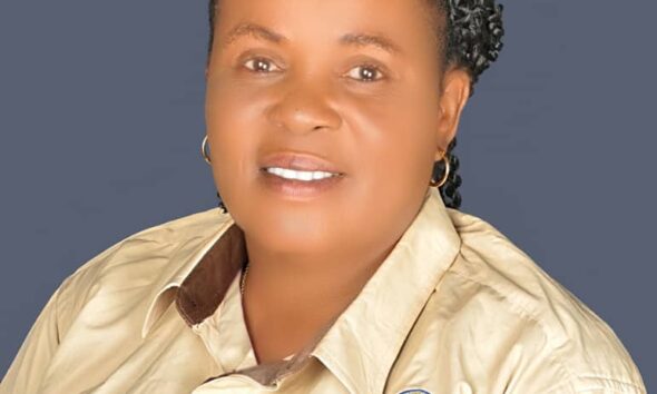 All Roads Lead To Ogwashi-Uku As NAPPS Day Holds Monday In Delta, Young Anticipates Grand Celebration